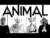 F.Charm – Animal (Original Radio Edit)
