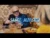 El Nino – Sange Albastru