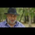 Andrada Barsauan x Bogdan Berbecar – A Venit Si Randul Meu