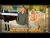 Alexandra Cret & Bogdan Berbecar – Buze de miere