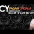 Arrested Youth – A Painting In Paris (QUIX Remix)