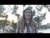 Raluca Mateescu – Cate flori sunt pe pamant 2018