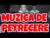 Muzica de petrecere 2020 – Colaj muzica de petrecere 2020
