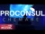 Proconsul – Chemare (Original Radio Edit)