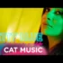 Nicolae Guta – Leul (Originala 2020)
