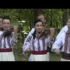 NICOLAE GUTA – Nopti albe (Originala 2020)