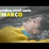 ZI-I CU SAXOFONULDACA MA FACUI CA MOR (NOU 2020) – FORMATIA IULIAN DE LA VRANCEA