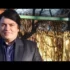 Fane Banateanu si Armin Nicoara – Colaj de petrecere 2019