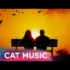 Iulian de la Vrancea – Cat ma tin curelele, imi fac toate poftele