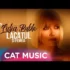 Nicolae Guta – Da-i ca mere (Originala 2019)
